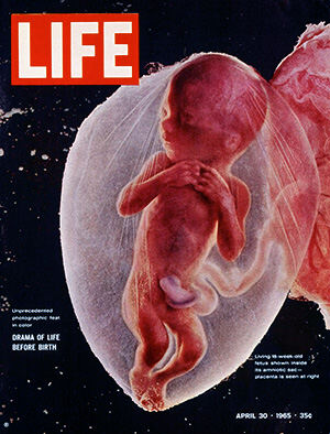 30 апреля 1965 LIFE magazine