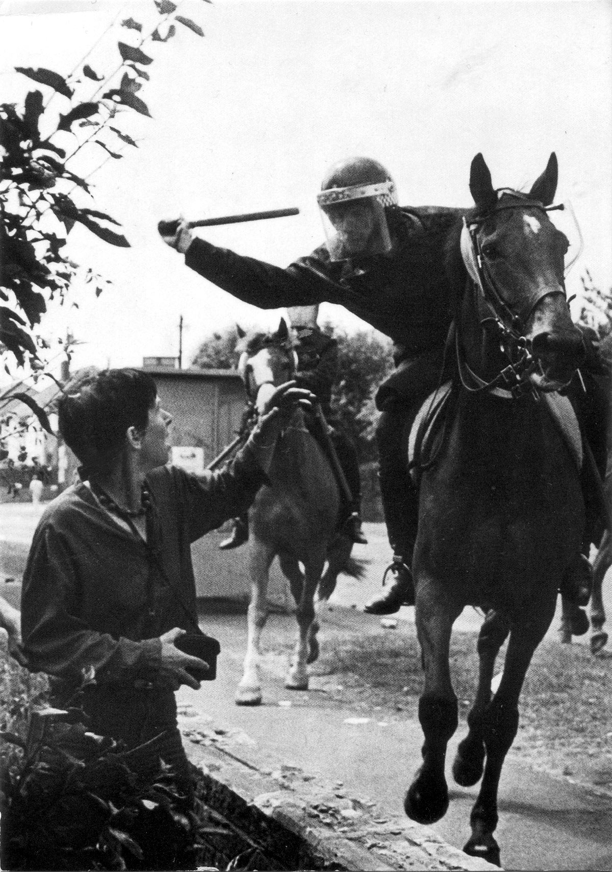 orgreave