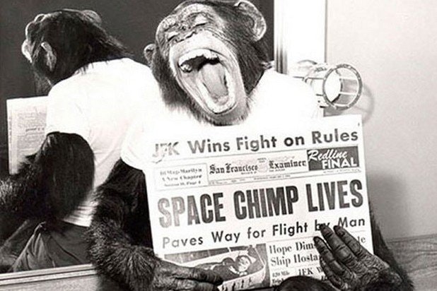 шимпанзе Хэм